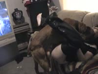 Never before seen filthy once shy housewife engaging in bestiality with a K9 in this footage